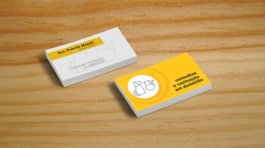 2013_ID priscila_Julia Sampaio Designer_001