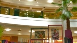 2010_Enjoy frag memoria_Julia Sampaio designer_002