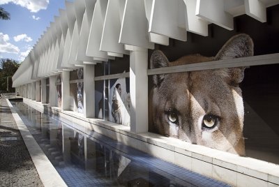 2012_Usiminas_Julia Sampaio designer_001