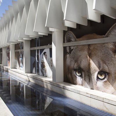 2012_Usiminas_Julia Sampaio designer_001