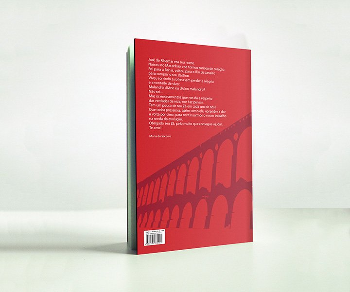 2014_livro-seu-ze_julia-sampaio-desinger_002
