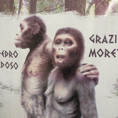 2015_julia sampaio designer_homem primitivo_001