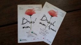 julia-sampaio-designer_Brasil-mon-amour_06