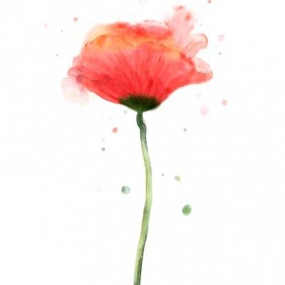 julia-sampaio-designer-ilustração-flor