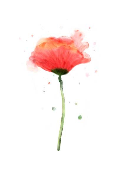 julia-sampaio-designer-ilustração-flor