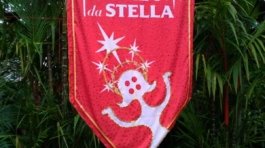 julia sampaio designer_ folia da stella_015