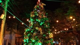 Stella-Chirstmas-Market_17